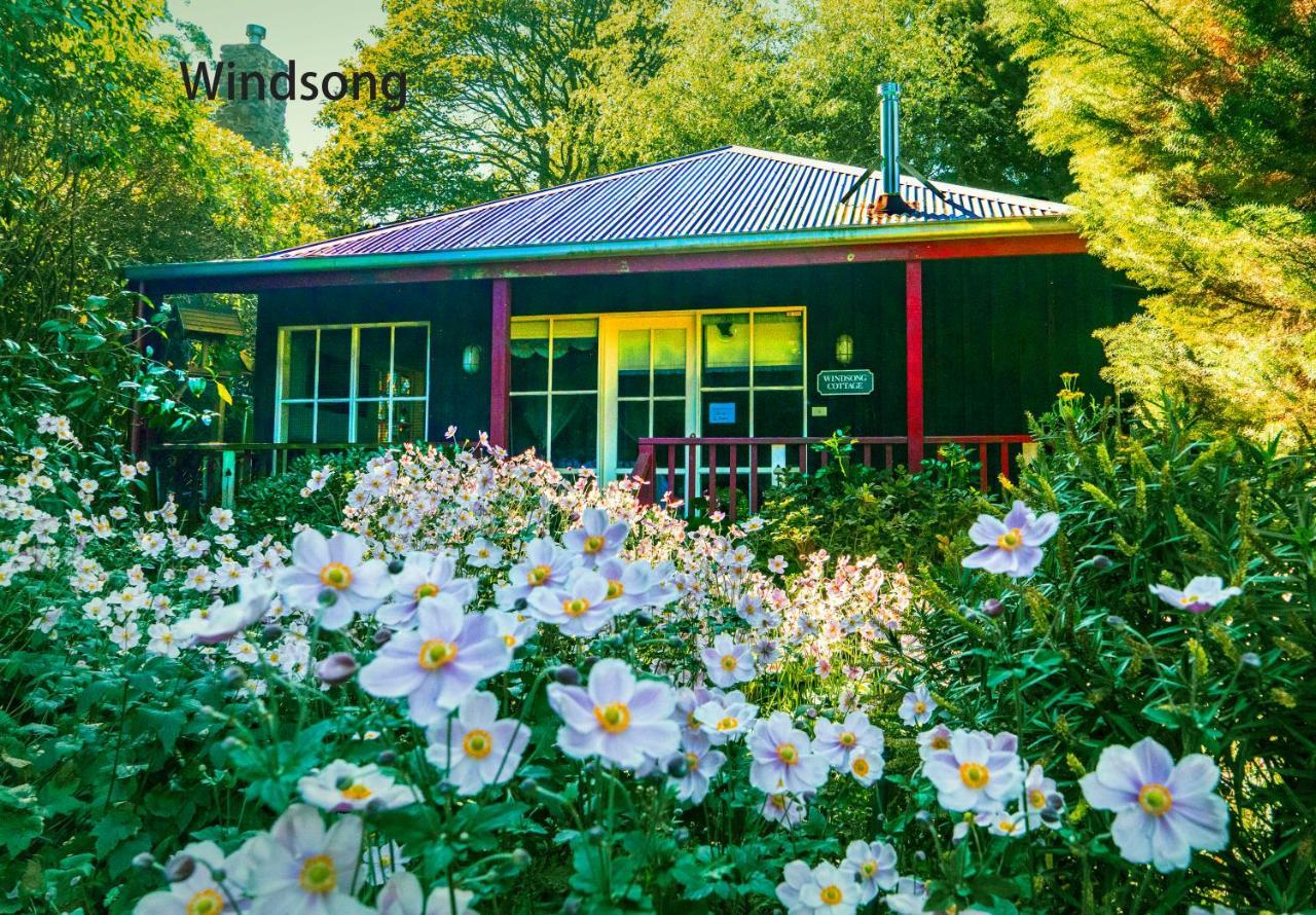 Observatory Cottages 단데농산 외부 사진