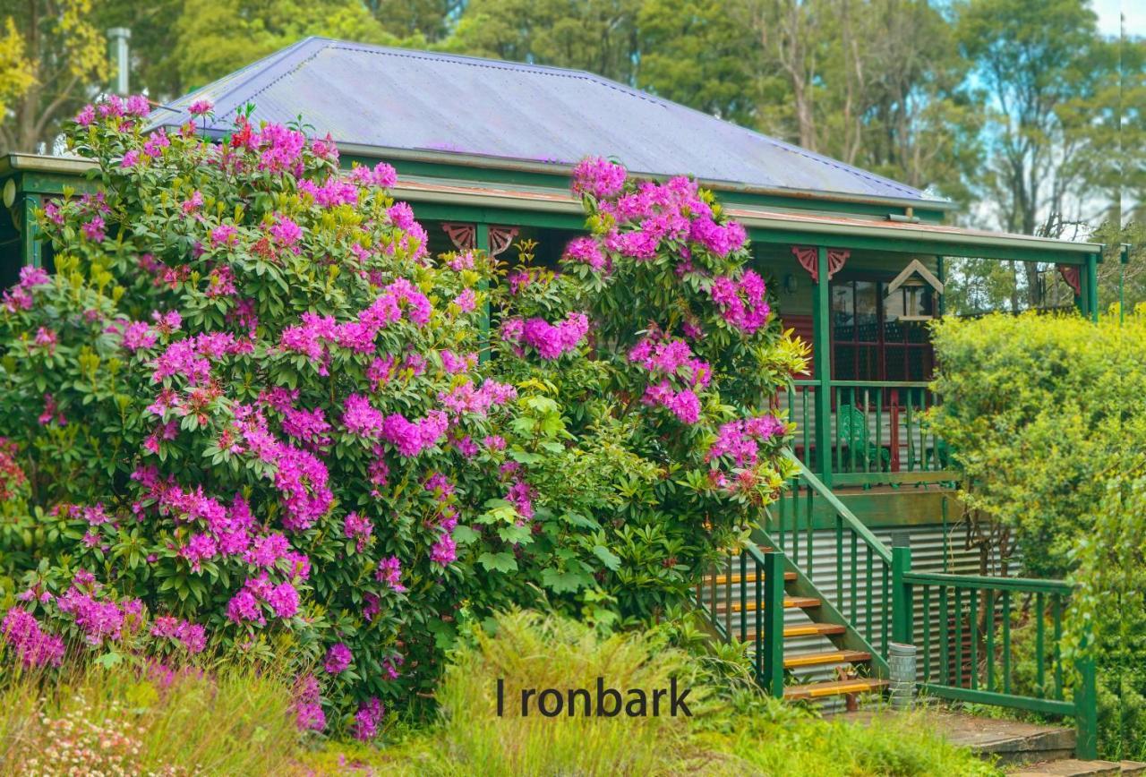 Observatory Cottages 단데농산 외부 사진