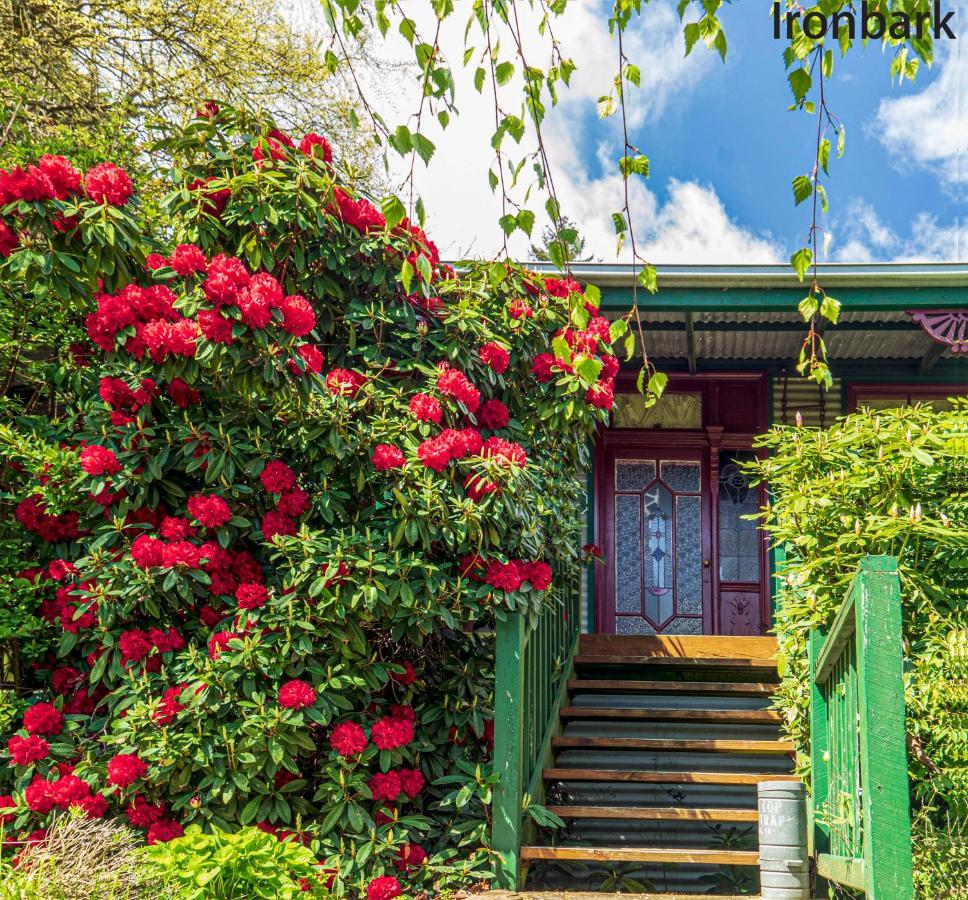 Observatory Cottages 단데농산 외부 사진